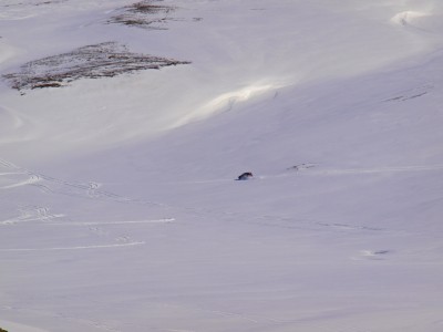 P3287254.JPG