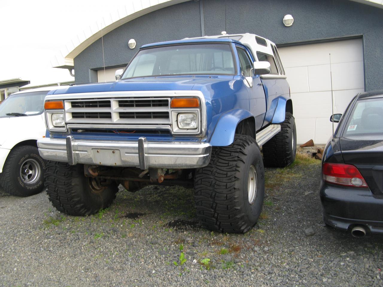 Ram_1.JPG