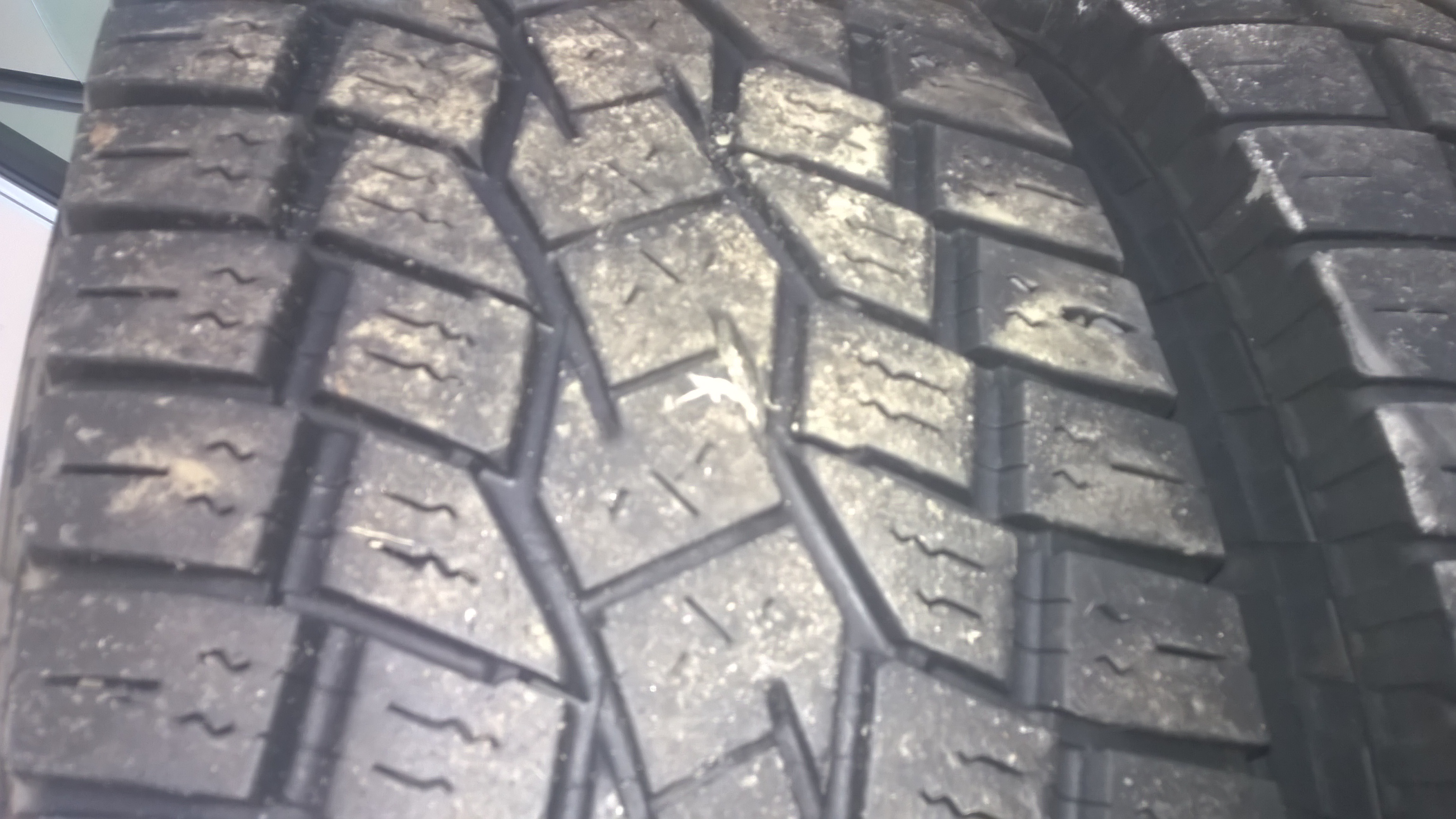 WP_20160411_002.jpg