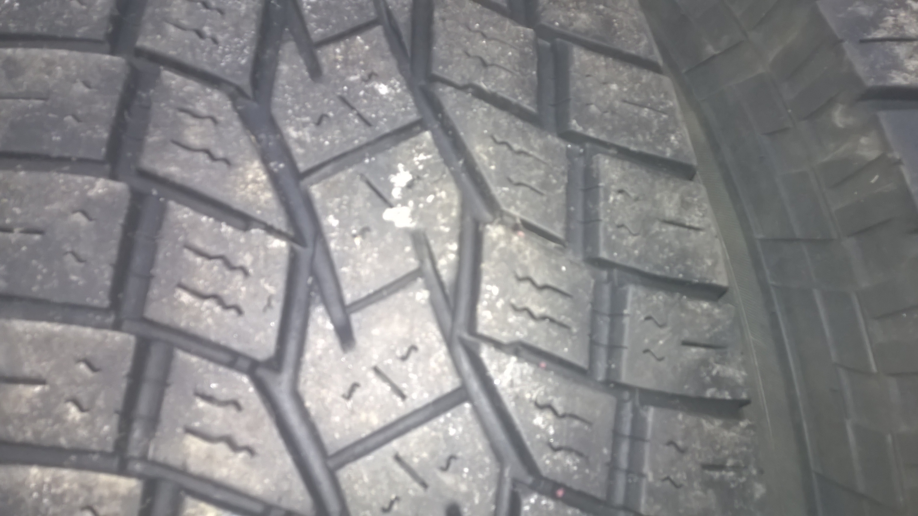 WP_20160411_003.jpg